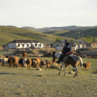 dome russian and eurasian studies