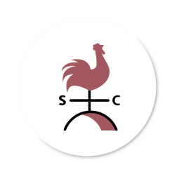 weather vane icon